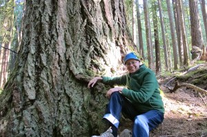 Shann with big tree Hoh